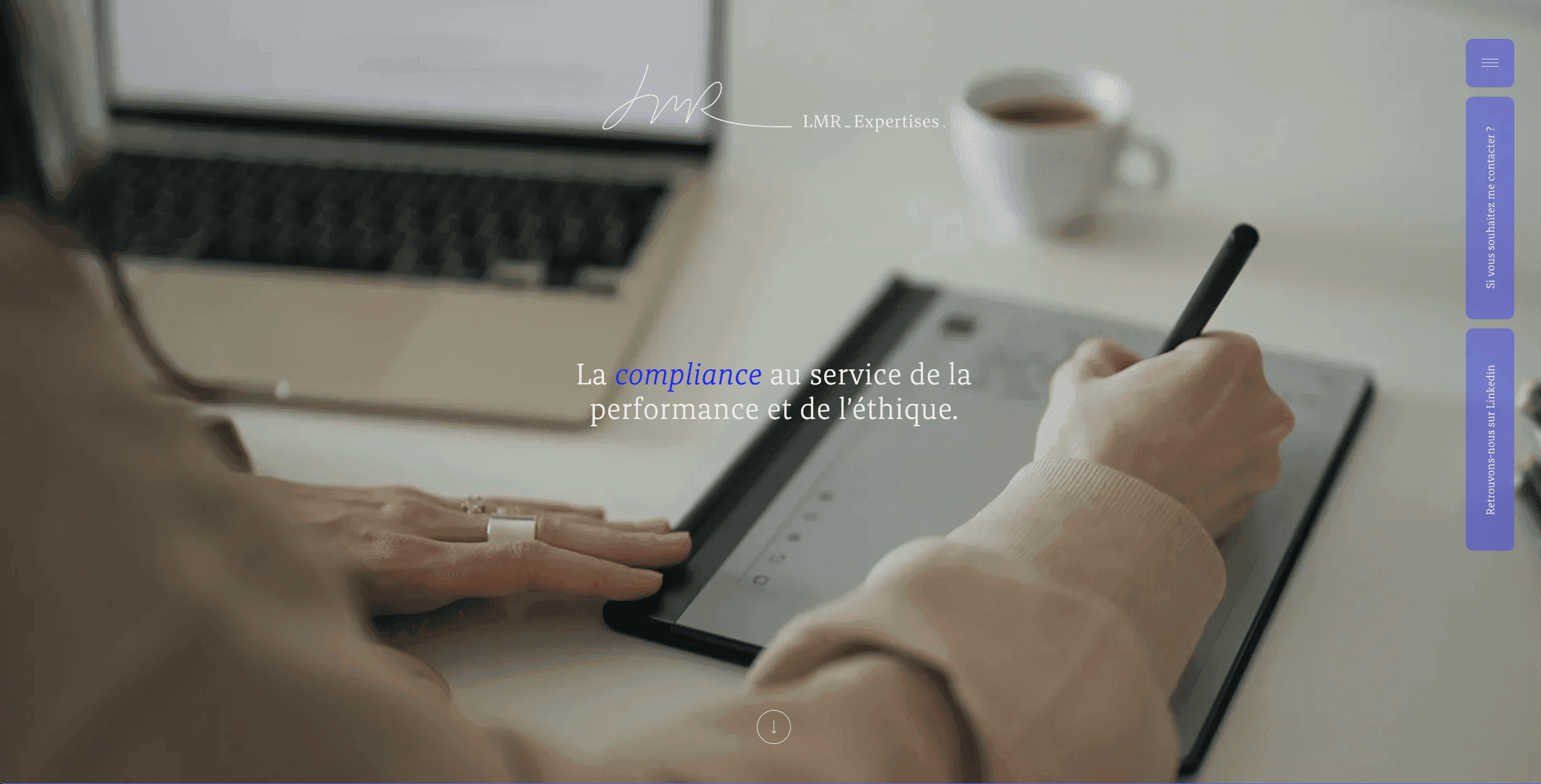 LMR expertises