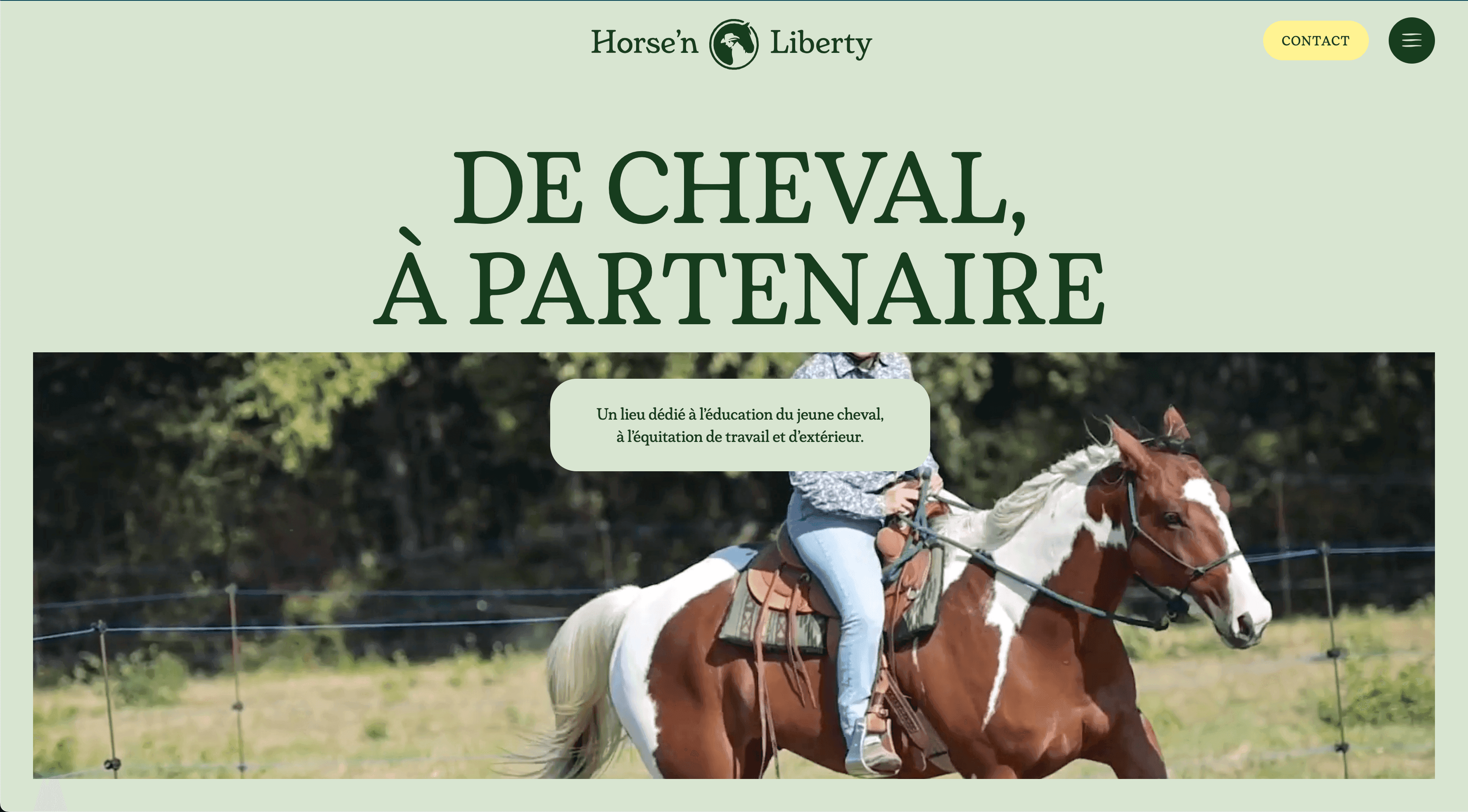 Horse and Liberty